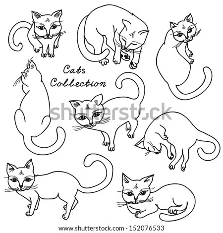 Different Cats Kittens Stock Vector 27981023 - Shutterstock