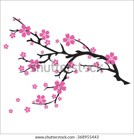 Vector Cherry Blossom Branch Stock Vector 93205756 - Shutterstock