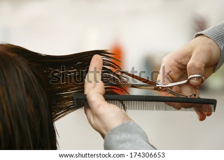 Long Blond Hair Being Cut Stock Photo 5256016 - Shutterstock
