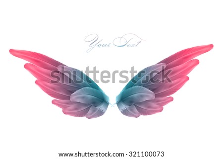 Vector Bird Wing Illustration Stock Vector 70054240 - Shutterstock