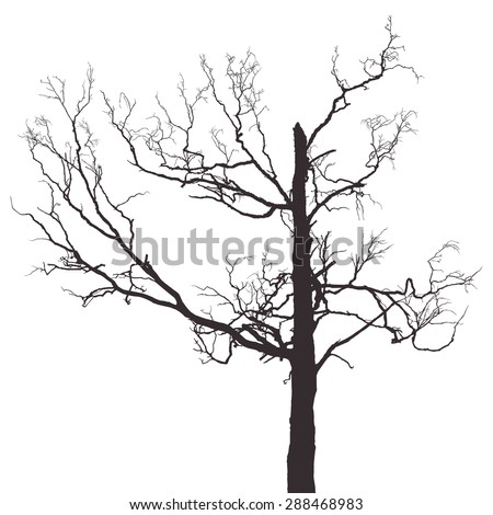 Tree Silhouettes Vector Illustration Stock Vector 119824867 - Shutterstock
