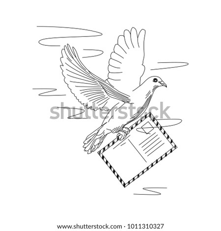 Pigeon with postcard line art hand drawn illustration vector. Black and white drawing natural style.