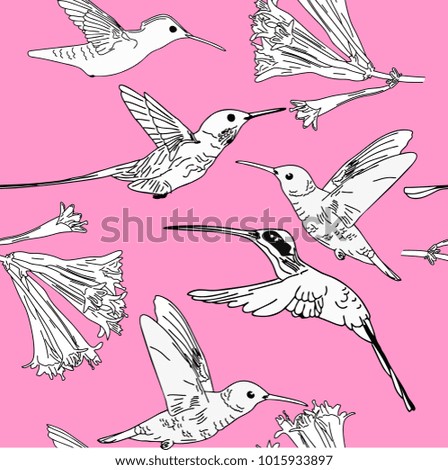 Seamless pattern hand drawn Humming Bird colorful vector illustration.