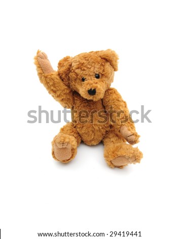 please teddy bear