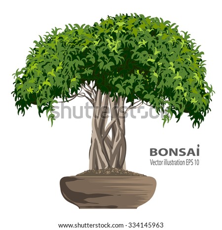 Bonsai Icon Stock Vector 235943764 - Shutterstock