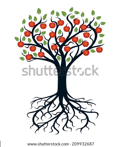 Fruit Tree Leaves Fruits Branches Root Stock Vector 78369670 - Shutterstock