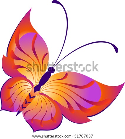 Elegant Beautiful Butterfly On Light Background Stock Illustration