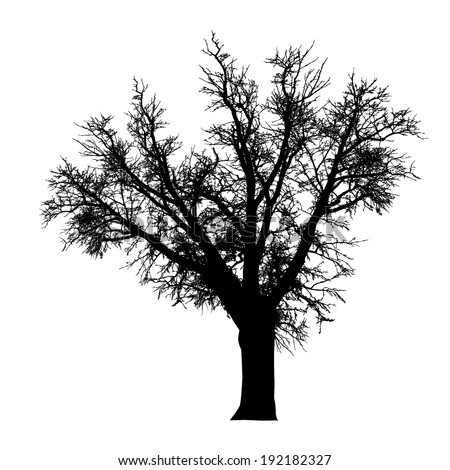 Scary bare black tree silhouette Stock Photos, Images, & Pictures
