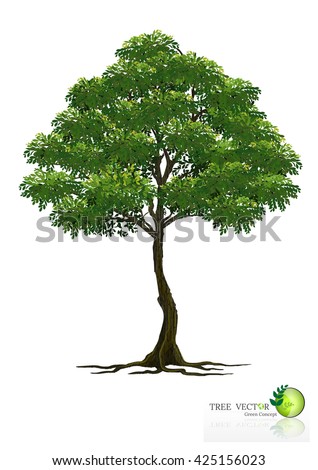 Tree On White Background Stock Vector 425156035 - Shutterstock