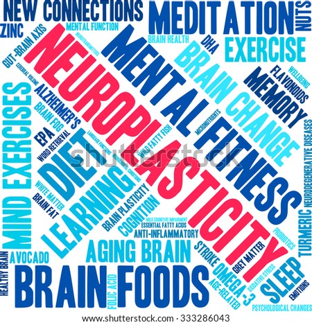 neuroplasticity and justice essay neuroplasticity and justice essay