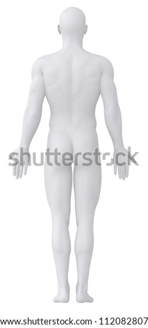 Naked Man Anatomical Position Isolated Stock Illustration Shutterstock