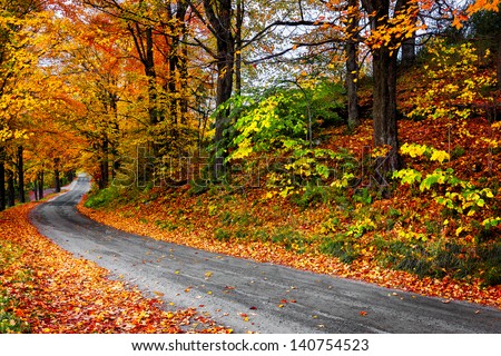 Autumn landscape with bright colorful orange and red trees and leaves ...