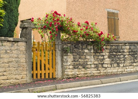 Beautiful Gate Entrance Front Yard Stock Photo 82410631 - Shutterstock