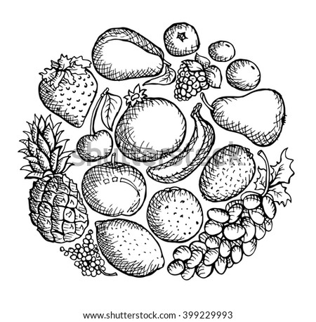 Fruit Hand Drawn Collection Vector Illustration Stock Vector 80441965