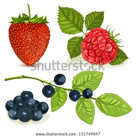 Set Berries Raspberries Cherries Strawberries Currants Stock Vector