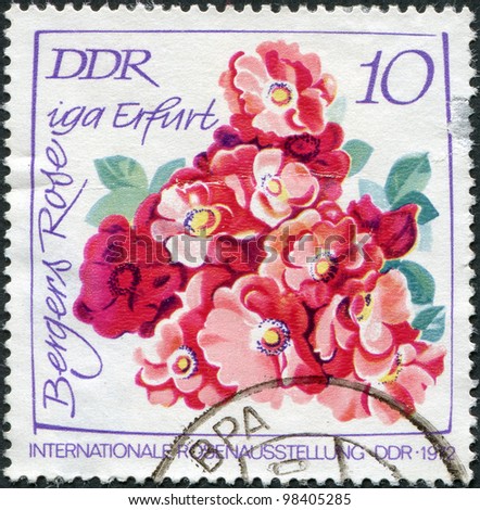  - stock-photo-gdr-circa-a-stamp-printed-in-gdr-the-international-exhibition-devoted-to-roses-depicts-98405285