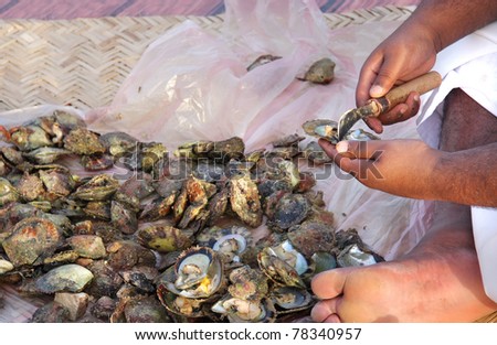 وردة أم لؤلؤة ؟ Stock-photo-opening-of-pearl-oyster-by-skill-pearler-78340957