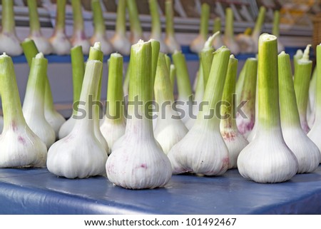  - stock-photo-fresh-garlic-on-display-101492467