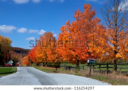  - stock-photo-country-road-in-autumn-milton-on-canada-116254297