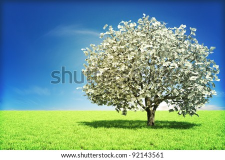 Money tree concept with room for text , or copy space - stock photo