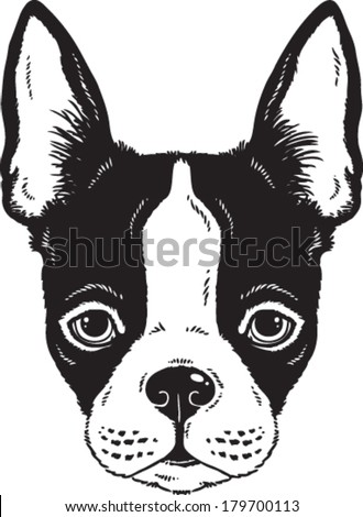 Boston Terrier Puppies Four Cute Cartoon Stock Vector 162109550