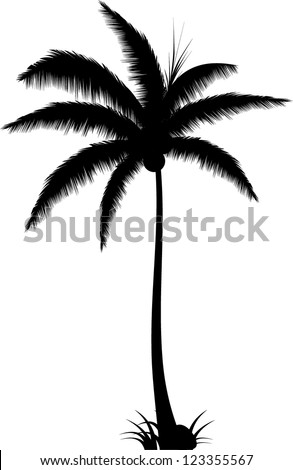 Tree Silhouette Stock Photos, Images, & Pictures | Shutterstock