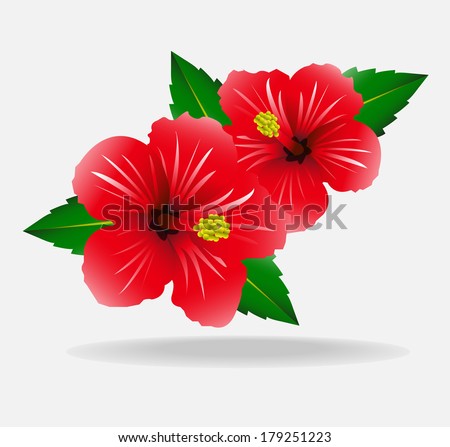 Hibiscus vector Stock Photos, Images, & Pictures | Shutterstock