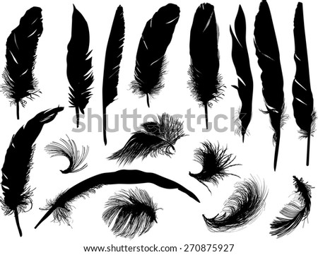Illustration Black Feathers Isolated On White Stock Vector 103763180