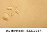 imprints of seashells in beach...