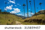 cocora valley  with majestic...