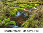 stream with moss covered rocks...