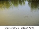 Small photo of Fish up on the water