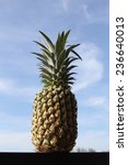 pineapple on a background of...