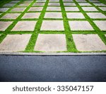stone pathway with grass in a...