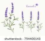 Lavender Background