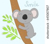 grey koala bear on wood branch...