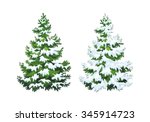 Photo of snow covered trees | Free christmas images