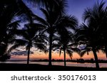 silhouette coconut palm tree...
