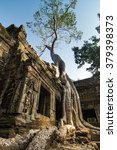 Small photo of Ta Prohm, built by the Khmer King Jayavarman VII as a Mahayana Buddhist monastery and university. Huge trees are blended into the walls, and rocks are hugging the giant roots.