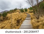 uphill wooden walkway on a...