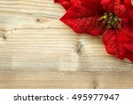 Christmas Flower Free Stock Photo - Public Domain Pictures