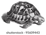 Hein Nouwens's Portfolio on Shutterstock