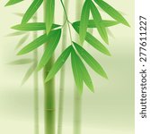 bamboo stems and leaves on...