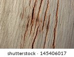 eucalyptus texture
