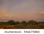 Image Of Sunset Sky With Orange Tinted Clouds Freebie Photography