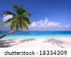 صور شواطىء وبحار  Stock-photo-island-paradise-palm-trees-hanging-over-a-sandy-white-beach-with-stunning-blue-waters-18334309