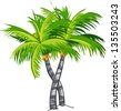 Cartoon coconut tree. - stock vector