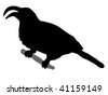 Hornbill Silhouette