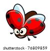 Animated Ladybird