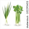 Celery Vector